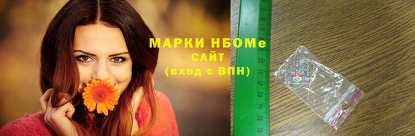 хмурый Новозыбков