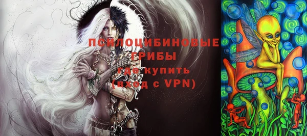 хмурый Новозыбков