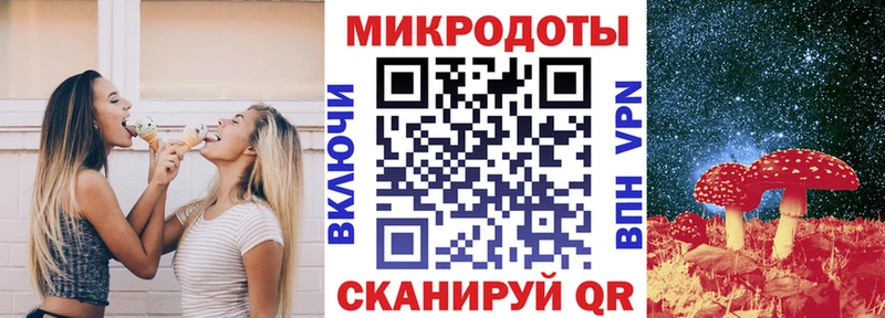 Псилоцибиновые грибы Psilocybe  Купить где  Краснодар 